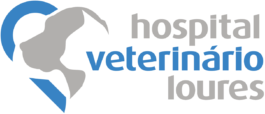 Hospital Veterinario Loures